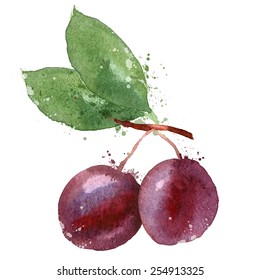 Plum vector logo design template. fruit or food icon.