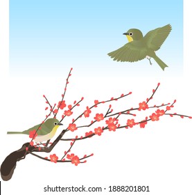 Pájaro cirujano de cirujano y aguijón, ilustración vectorial