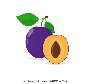 Plum whole and slice vector Illustration on a white background