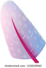 Plumage feather. Smooth color ornamental bird quill