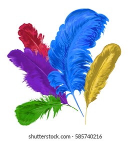 Plumage. Feathering. Colorful Feathers. 