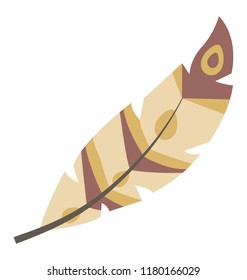 
Plumage having brown color depicting exotic feather 

