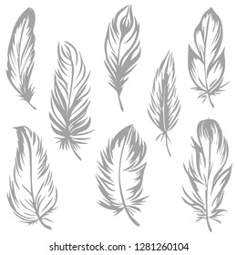 Plumage set. Vector isolated plume on white background. Gray feathers. Used for fabric and clothes design, wallpaper, scrapbooking, stamp, cliche, bed linen, wrapping paper.