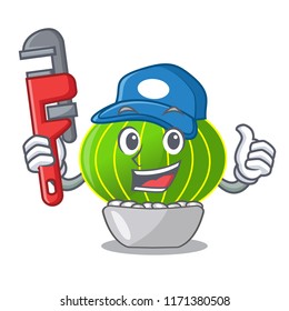 Plumber cartoon plants notocactus in the desert garden