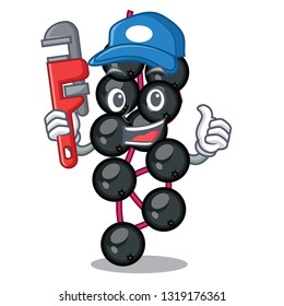 Plumber elderberry fruit is isolated with characters