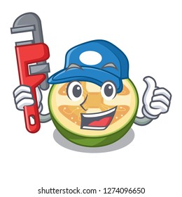 Plumber fruit feijoa isolated on the mascot