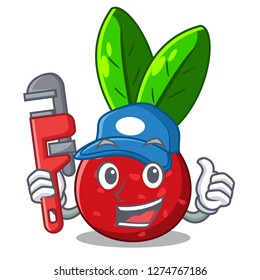 Plumber fruit yangmei isolated on the mascot