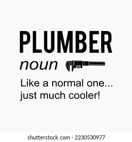 Plumber Noun Like a Normal One Just Much Cooler