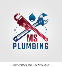 
plumbing logo with tools and brand