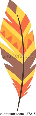 Plume with ethnic colorful pattern