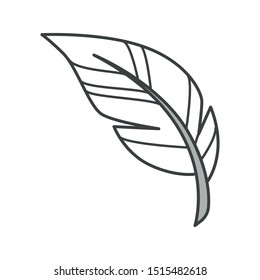 Plume Or Feather Isolated Icon, Pillows And Blanket Filling Vector. Writing Tool Or Pen, Soft Bedding Element, Fluff Or Bird Plumage Part. Quill, Natural Staffing For Cushions, Light Object, Plummet