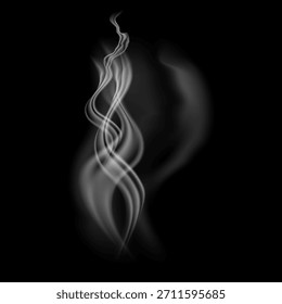A plume of smoke vector image