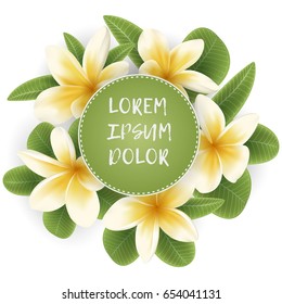 Plumeria blossom flowers and green leaves around of round frame. Circle border with tropical flowers. Card template with Plumeria flower wreath.
