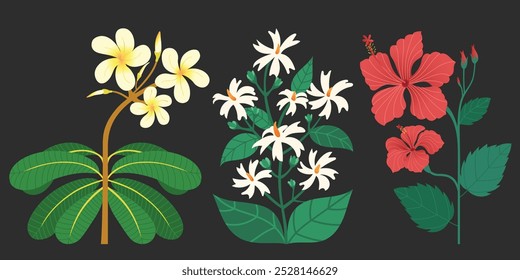 Plumeria Champa oder Frangipani, Jasood oder Red Hibiscus und Parijat Night Jasmine Blumen. Set asiatische und indische botanische Blumen, Vektorgrafik, handgezeichnet