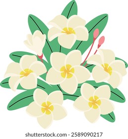 Plumeria clip art,Cute flower vector illustration