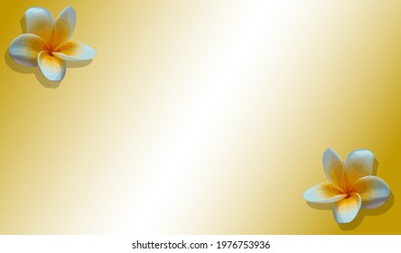 Plumeria copy space background , flower background for copy space and decorate your work