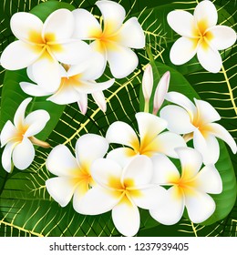 Plumeria. Exotic flower. Bouquet of exotic flowers. seamless pattern