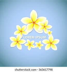 plumeria. exotic flowers Frame . Vector