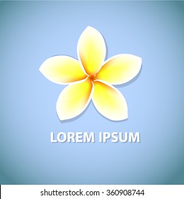 plumeria. exotic flowers. Vector