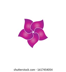 Plumeria flower beauty logo vector illustration