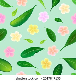 Plumeria flower blossom seamless background. Vector illustration.