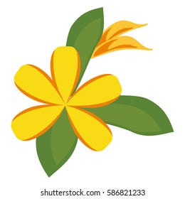 plumeria flower decoration icon