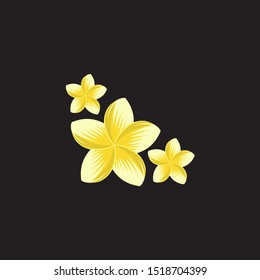 Plumeria Flower Design Vector Illustration