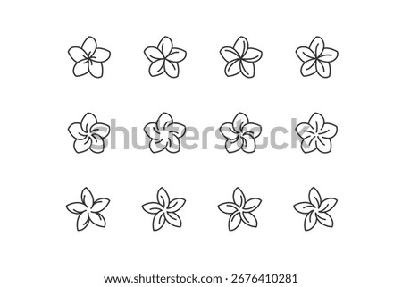 Plumeria flower. Different types of flower bud.