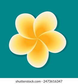 Plumeria flower with drop shadow on ocean green background. Vector illustration.