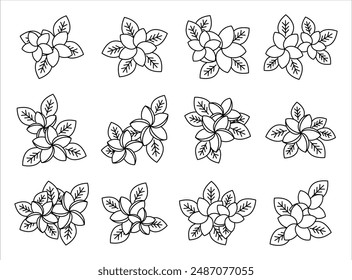 Plumeria Flower Icon Set Collection