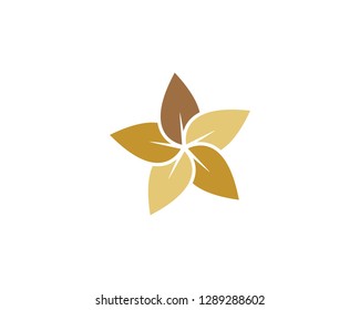 Plumeria flower icon vector illustration design logo template - Vector