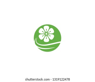 Plumeria flower logo template vector
