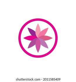 Plumeria flower logo template vector