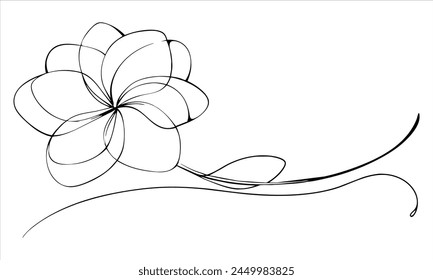 Plumeria flower one line continuous drawing art on white background.