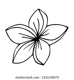 Plumeria Flower Outline Frangipani Line Art Stock Vector (Royalty Free ...