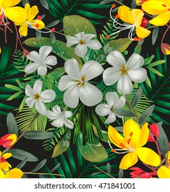 plumeria flower  pattern