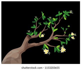 Plumeria flower tree vector design