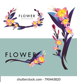 Plumeria Flower vector logo background