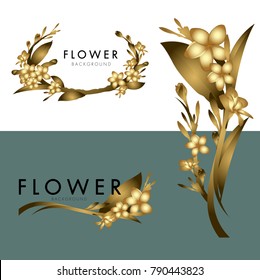 Plumeria Flower vector logo background
