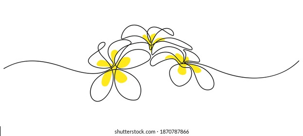 Plumeria flowers in continuous line art drawing style  Group fragrant tropical plumeria (frangipani  jasmine) flowers  Minimalist black linear sketch white background  Vector illustration