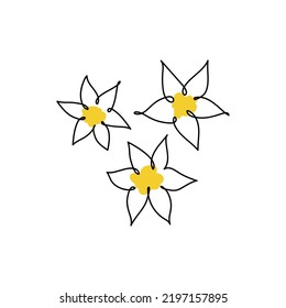 Plumeria flowers in continuous line art drawing style. Border with fragrant tropical plumeria (frangipani, jasmine) flowers. Minimalist black linear sketch on white background. Vector illustration