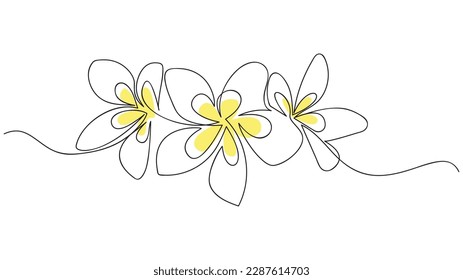 Plumeria flowers in continuous line art drawing style. Vector illustration