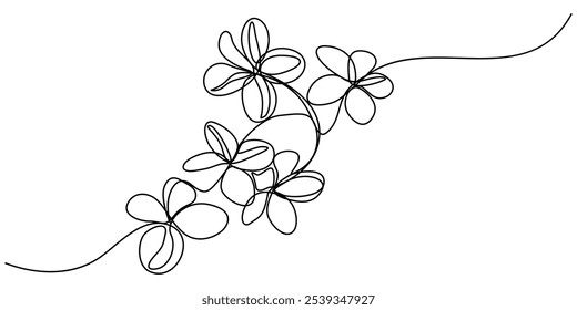 Plumeria flowers in continuous line art drawing style. Minimalist black line sketch on white background, Plumeria flowers in continuous one  line art drawing. Frangipani blossom. Vector illustration.