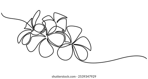 Flores de Plumeria en estilo de dibujo de línea continua. Bosquejo minimalista de línea negra sobre fondo blanco, flores de Plumeria en dibujo continuo de arte de una línea. Flor de Frangipani. Ilustración vectorial.