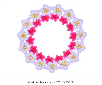 Plumeria flowers frame