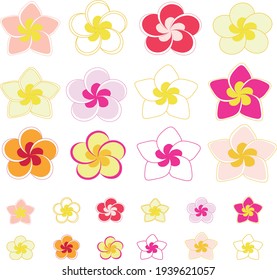 Plumeria flowers in many colors.