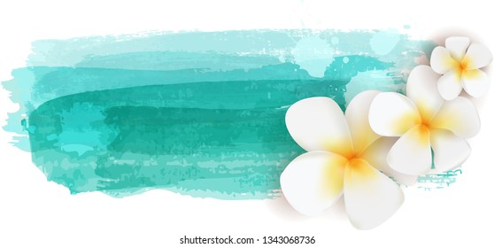 Plumeria flowers on teal colored watercolor imitation brushed banner - summer illustration