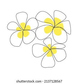 Plumeria flowers in the style of drawing a continuous line. Minimalism, black linear sketch on a white background. Vector illustration