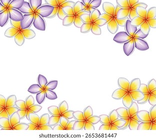Ilustração do vetor da moldura da flor de Plumeria ou Frangipani isolada no fundo branco. Planta com flores tropicais, flores de flor de árvore do Caribe ou havaiano, símbolos SPA.