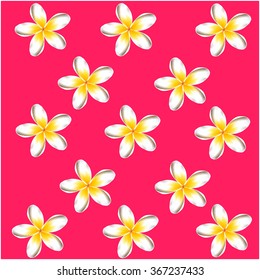 plumeria frangipani flowers pink background pattern vector